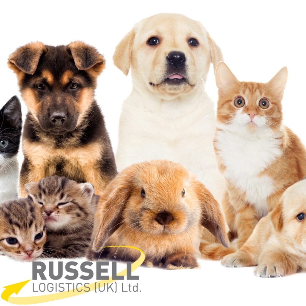 Pet Transport Services UK